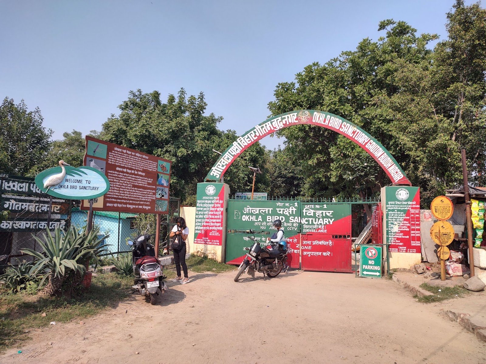 A scenic view of Okhla Bird Sanctuary with migratory birds and lush greenery near Delhi. Title: Okhla Bird Sanctuary