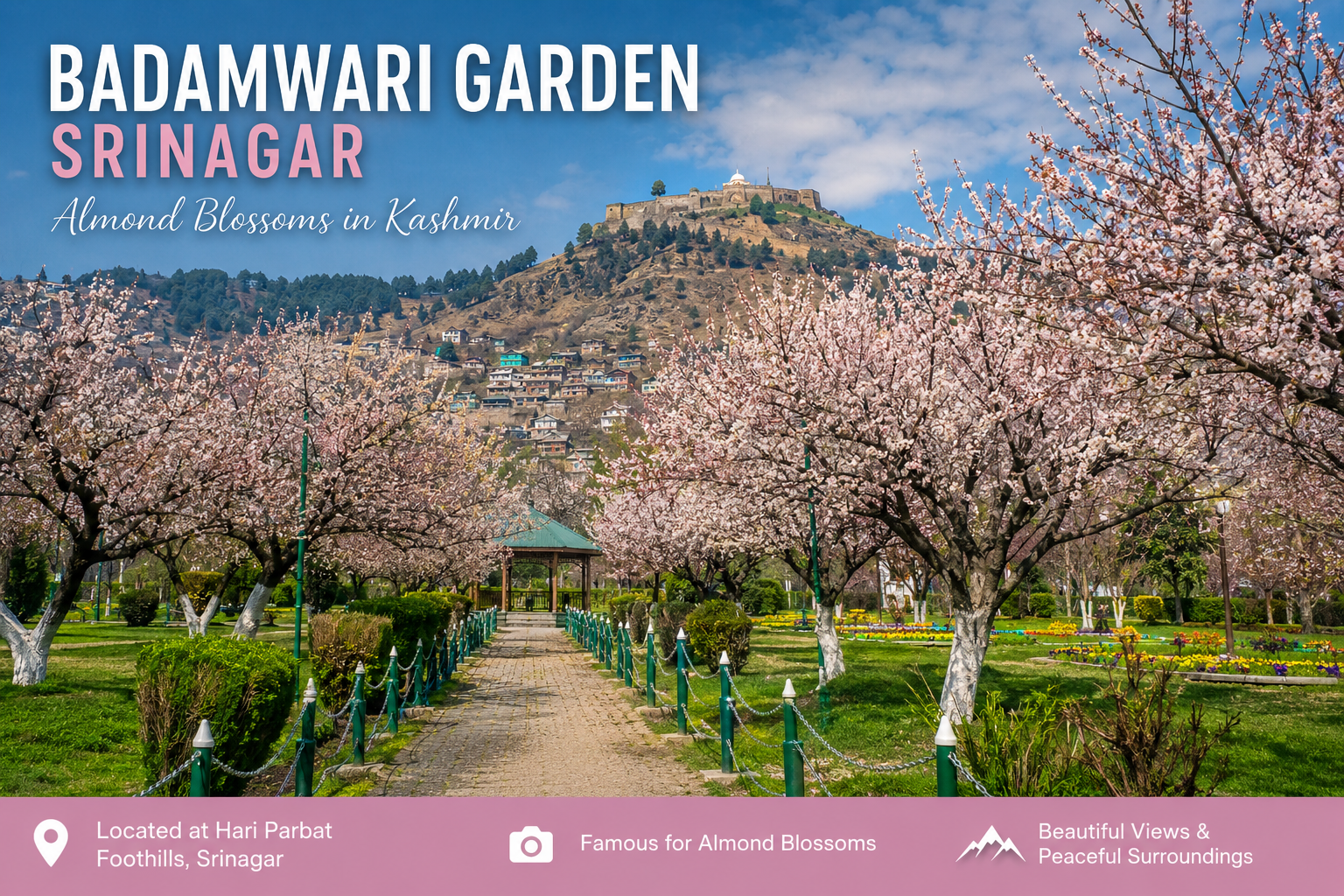Badamwari Garden Hari Parbat view