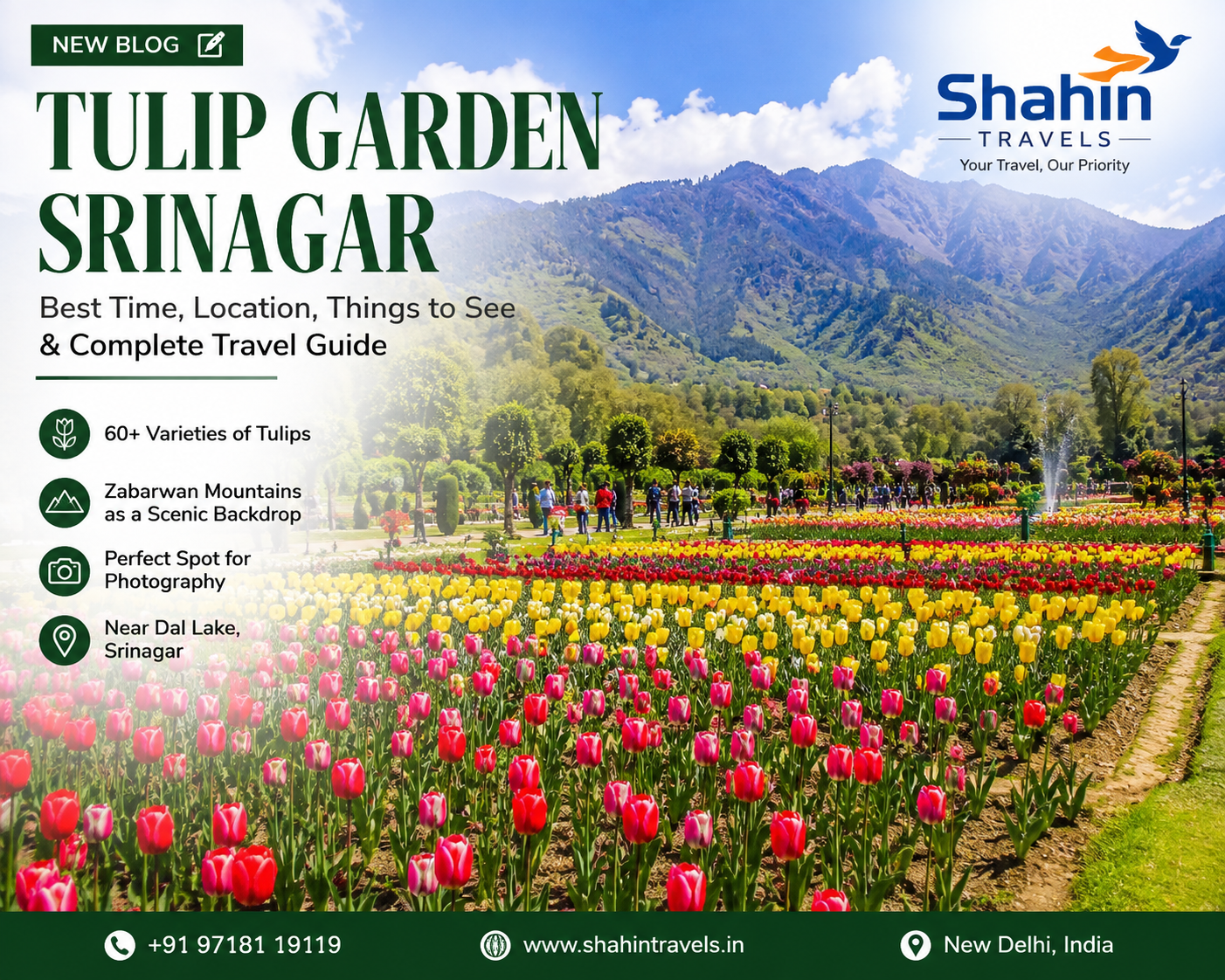 Tulip Garden Srinagar with colourful tulips and Zabarwan mountains