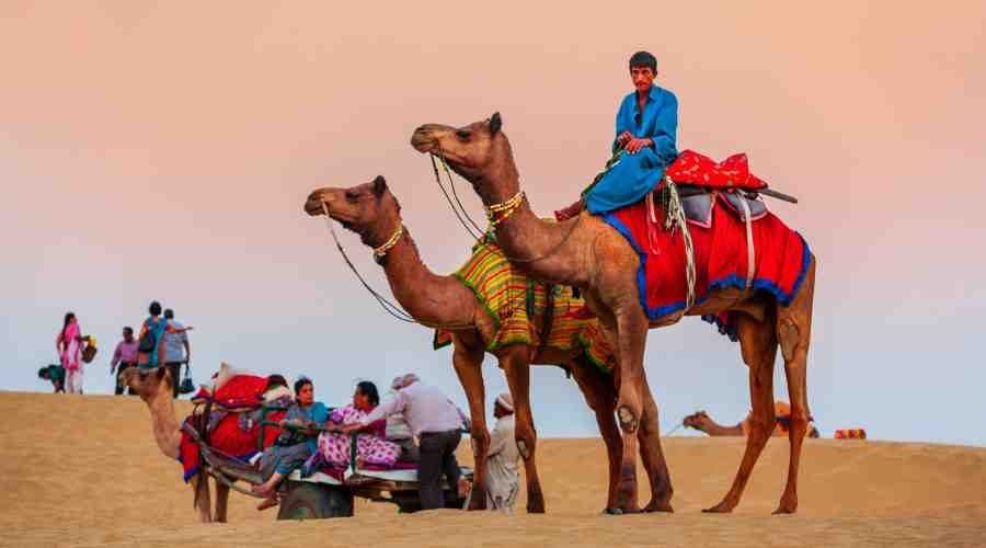 Desert of Rajasthan (2)