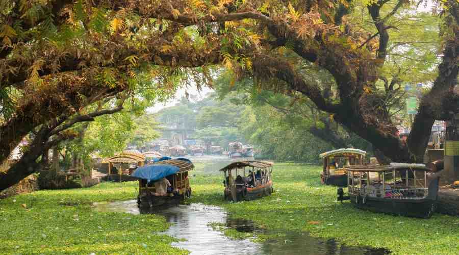 Kerala Backwaters (2)