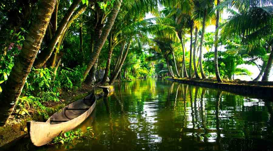 Kerala Backwaters (4)