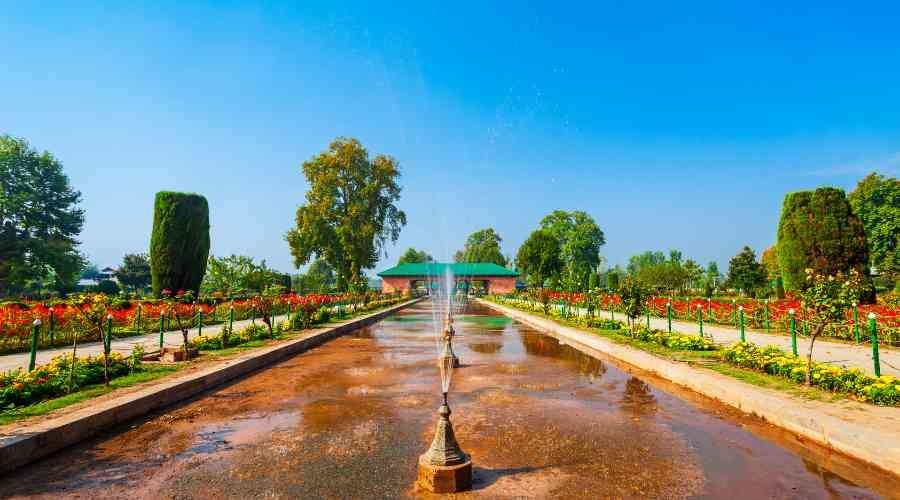 holiday in kashmir (4)